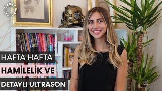 Hafta Hafta Hamilelik Ve Detaylı Ultrason Hikayem