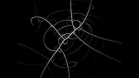 Slime mould simulation (Physarum polycephalum)