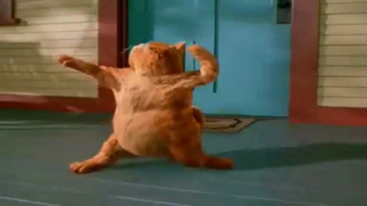 Garfield Happy Birthday Dance YouTube