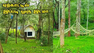 Yercaud Forest Stay 3 வேளை உணவுடன் ₹2500 மட்டுமே  | Yercaud Resort Review I Forest Stay In Yercaud