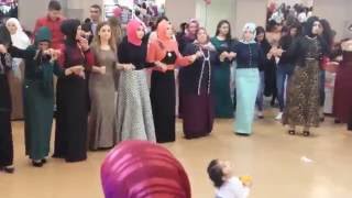 Agri Kina Hanau Grup Dilem