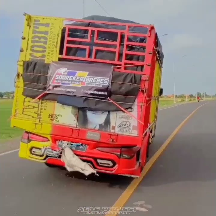 Truk jambu alas - sam Adit Yudha Oleng Parah!!