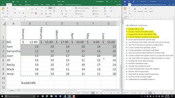 Excel Module 1 Lecture Part 1