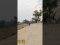 wheelie