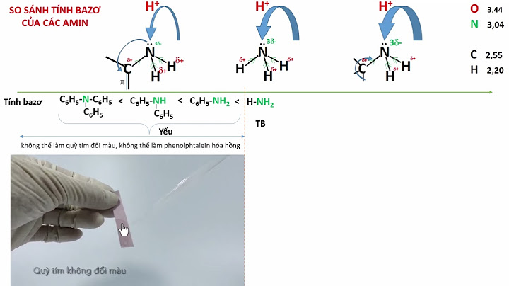 Cách so sánh lực bazơ của các amin năm 2024