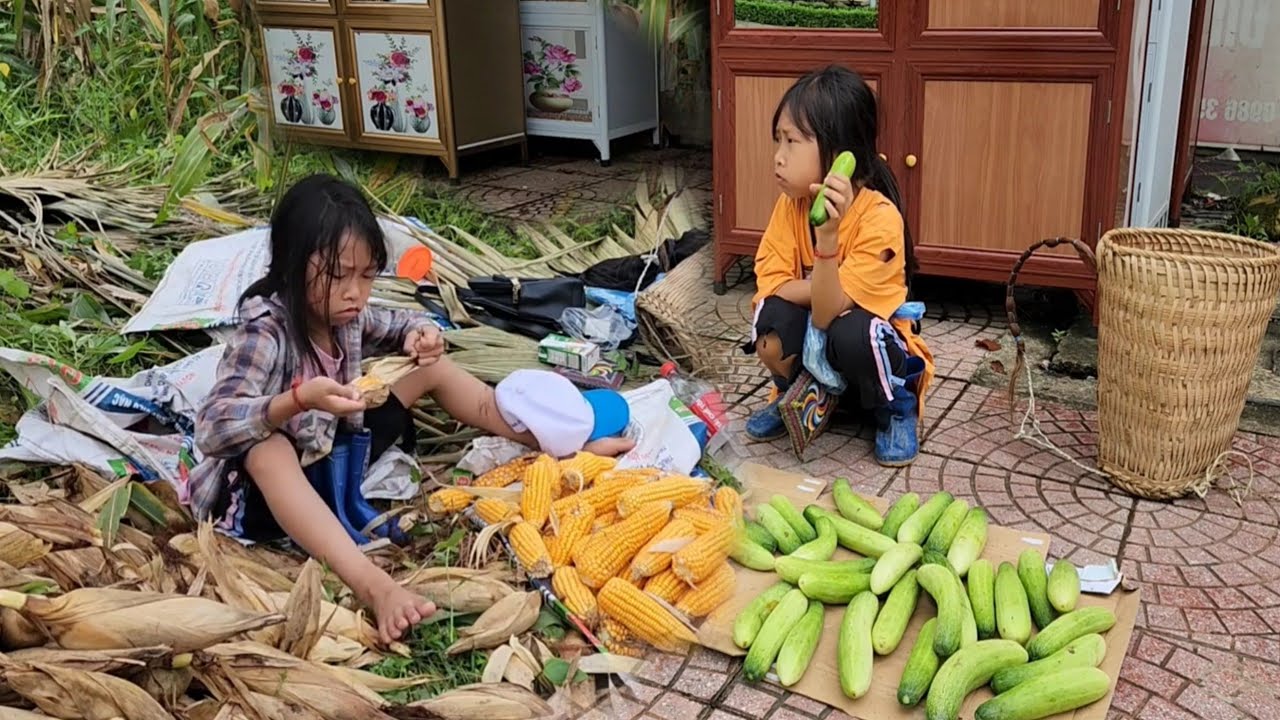 Episode Year-Old Homeless Girl Building a Bamboo House Alone in the ...
