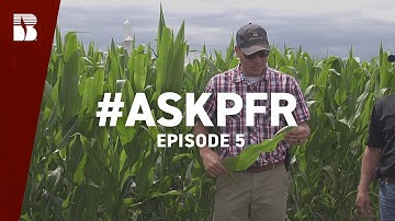 The Importance of Tissue & Soil Testing | #AskPFR Episode 5