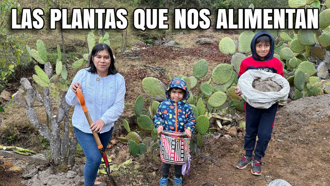 Las tradiciones de cuidar las plantas con la sabiduría que se pasa de padres a hijos
