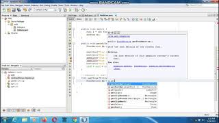 Java the complete Reference (Chapter 25) Example (11) Displaying Multiple Lines of Text