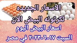 سعر البيض اسعار البيض اليوم السبت ١٧-٦-٢٠٢٣ في الشركات في مصر