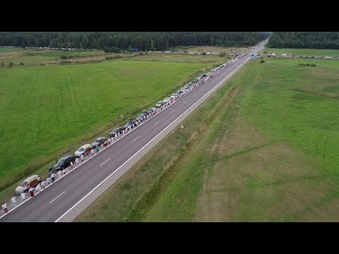 Video: Podrška za lanac staghorn paprati - kako objesiti paprat staghorn s lancima