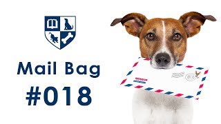 Mailbag #18 - How & When to Stop Behaviors That Worry You.