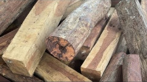 CẨM HOÀNG YẾN GIA LAI 0376768498|| HOÀNG THẢO KÈN - GỖ LŨA TỰ NHIÊN