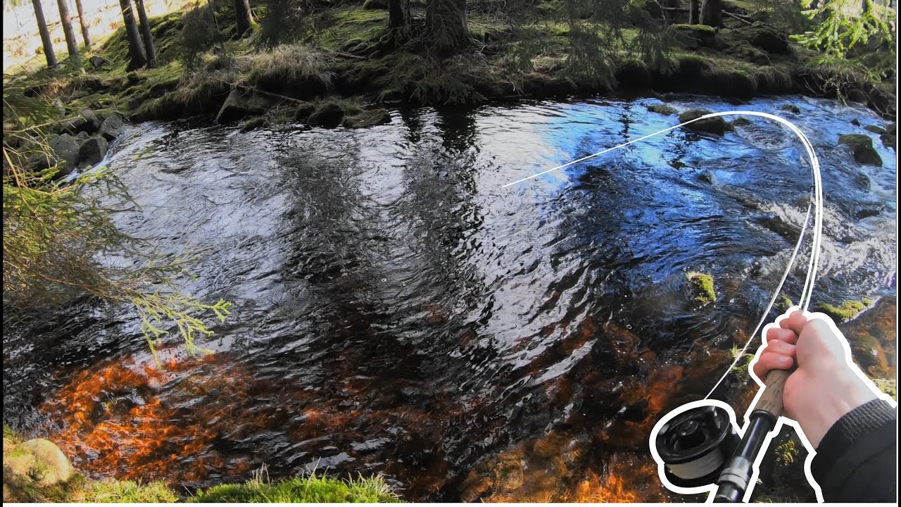 Zahájení pstruhové sezóny na horské říčce Mountain creek fly fishing