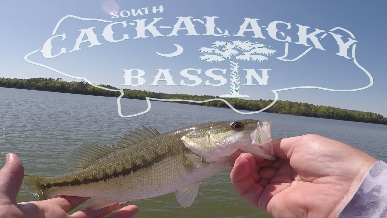 Bass Fishing Mid April 2020 during the Shut Down 