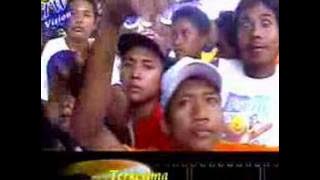 terkesima rolysta