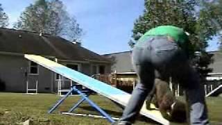 Teeter 4-0n.wmv