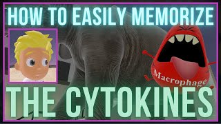 How to EASILY Memorize the Cytokines!