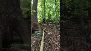 15 subs til 600 #bike #mtb #minibike #fun with @Levin_mtb09