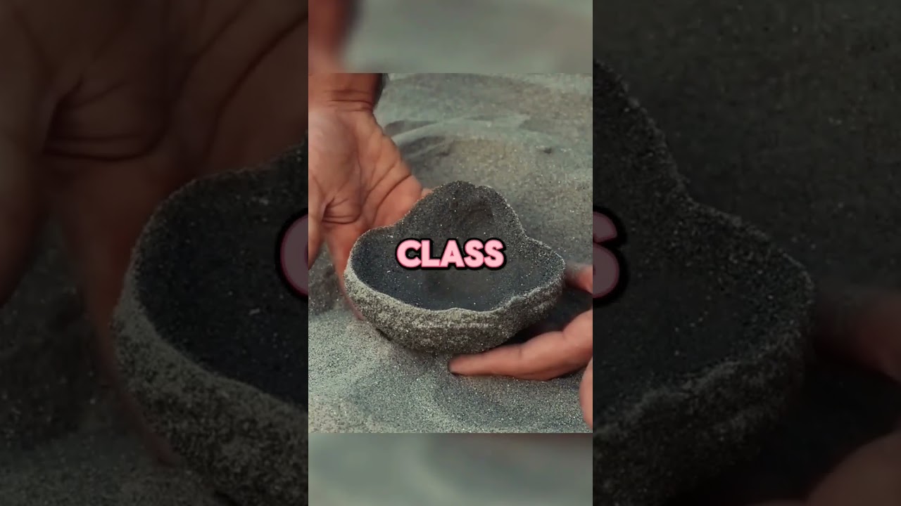 Student's sassy retort earns him a one-way ticket out of class! #shortsfeed #oddlysatisfying