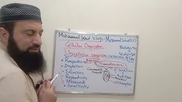 cellular organization :unicellular organisms of 9th class biology in Pashto