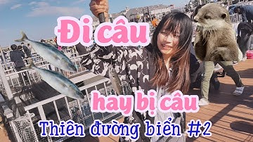 #vlog25🌟 TỰ MÌNH CÂU CÁ BIỂN SIÊU DỄ TẠI YOKOHAMA NHẬT BẢN | YOKOHAMA HAKKEIJIMA #2 | NA kun jp 4K