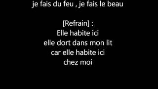 Video thumbnail of "Gérald De Palmas - Elle Habite Ici (lyrics)"