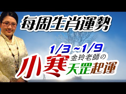 小寒開運。2022生肖運勢週報｜1/3-1/9｜金玲老師（有字幕）