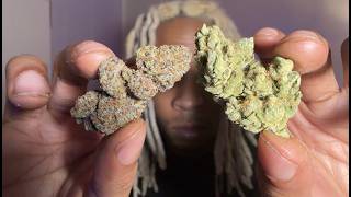 LA Family Farms Orange Drip, Lemon Banger & Toad Venom + 4 other strains! | WAR