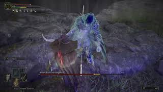 RL1 solo, Alecto, Black Knife Ringleader, Halberd+25