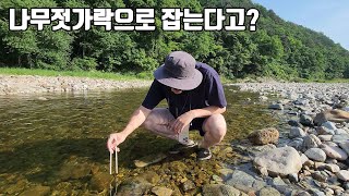 오직 한국에서만 발견되는 이것! 나무젓가락으로 잡을 수 있다고??