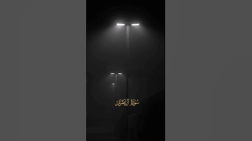 {إن الله يرزق من يشاء بغير حساب} تلاوة رائعة للشيخ سيد سعيد من سورة آل عمران #تلاوة_خاشعة #القرآن