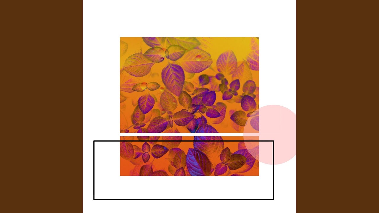 YouTube에서 Sunrays 보기 YouTube에서 Sunrays 보기