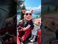 Bad Luck for the Pig 🐷💥😩 #funny #cat #orangecat #animation #cute #pig