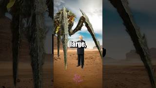 Famous Speedrunning YT Shorts #268 (smart Asians ft. @Bundun ) Profile