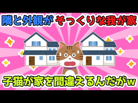 【2chほのぼのスレ】お隣と外観がそっくりの我が家。お隣の子猫が間違ってうちにはいってくるんだが、この子猫大物だわｗ