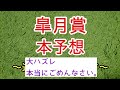 【競馬】【皐月賞】道悪予想で今年も荒れる⁉︎道悪適性を考えた本予想！これが漢の〜本命！
