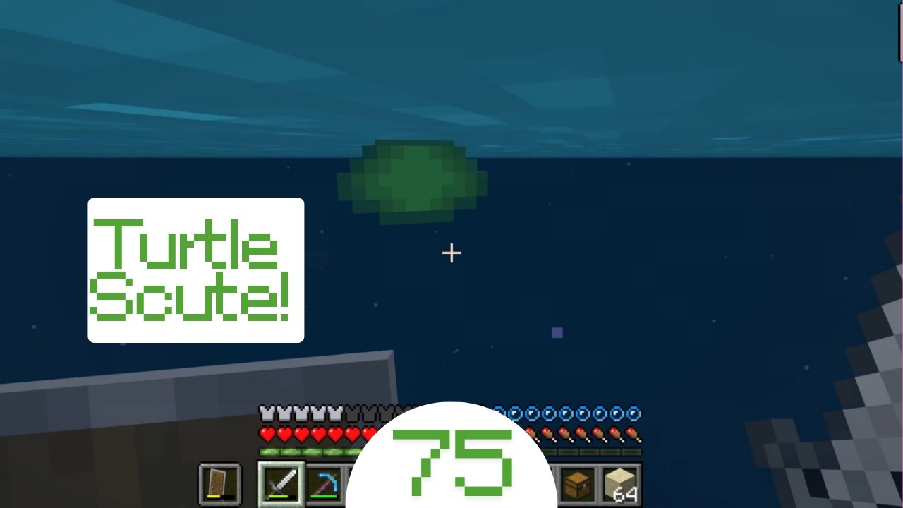 Minecraft #75 - Turtle Scute!
