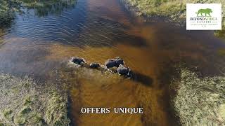 How Much Does an African Safari Cost? Complete 2026 Price Breakdown