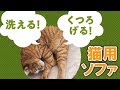猫用雑貨グッズ ソファー 01