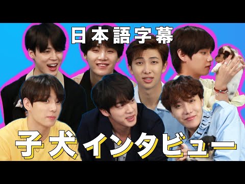 【BTS】わんちゃんにメロメロ！子犬たちに囲まれながらファンの質問に答えます！ BTS Plays With Puppies While Answering Fan Questions