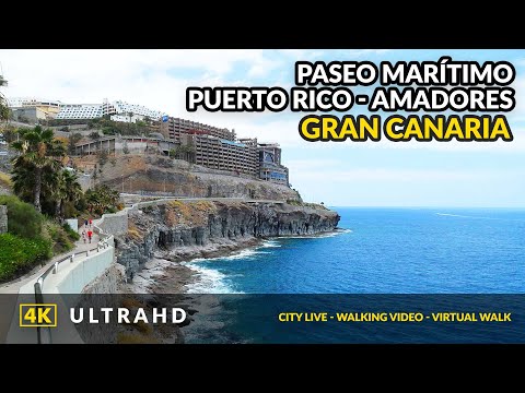 Video: Parimad matkad Puerto Ricos