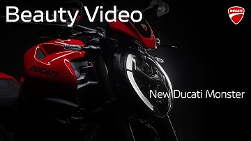 Here begins the next chapter of the Monster Legend.