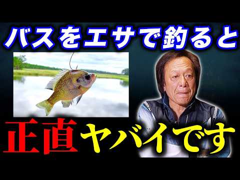 Black bass bait fishing※The unknown behind the scenes that is