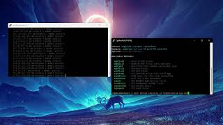 CYPHER C2 BOTN3T EXPLOITS | DDOS BEST C2/BOTNET/API/L4 2026 | BEST BYPASSES