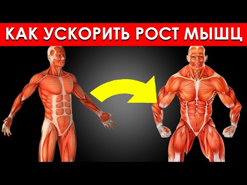 Как Натурально Ускорить Рост Мышечной Массы