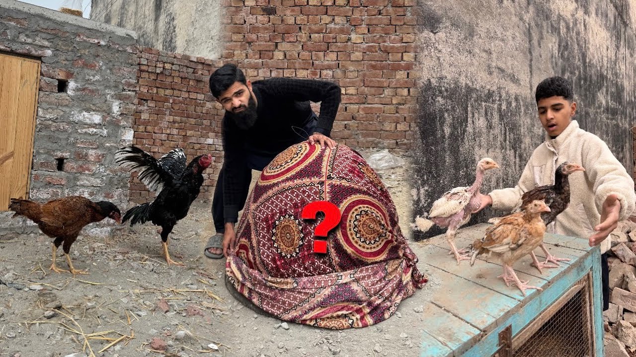 Daku k saray bachay khareed liay 