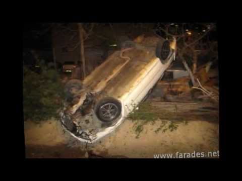 ملخص احداث الفريديس 2011