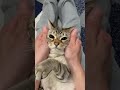 ついついやってしまう。。