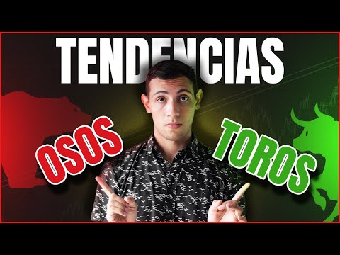 Vídeo: Diferencia Entre Oso Y Toro